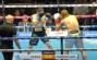 Kiedy jest Kingpyn Boxing 2?